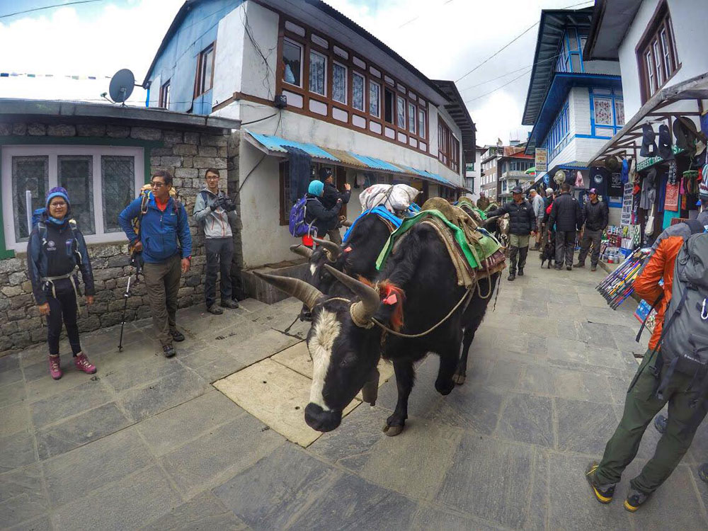 lukla Everest base camp trek